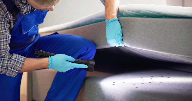 Professional Pest Control in Short Hills, NJ