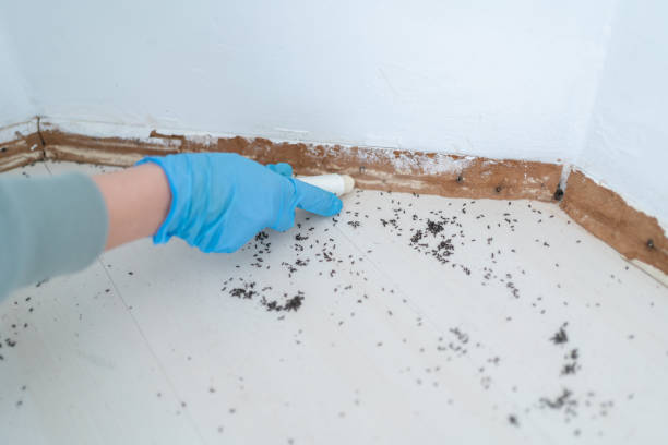 Pest Control Cost in Short Hills, NJ
